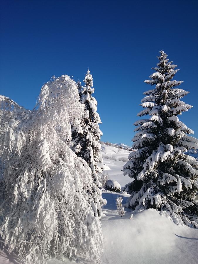 Hotel Gravas Lodge - Das Hotel Fuer Gaeste Mit Hund Vella ภายนอก รูปภาพ